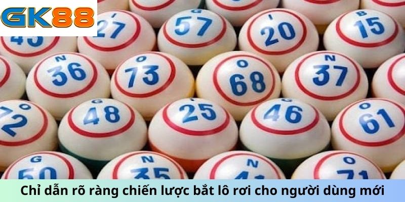 Chỉ dẫn rõ ràng chiến lược bắt lô rơi cho người dùng mới